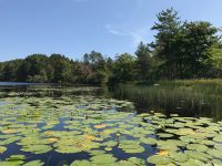 National Fish Habitat Partnership is codified through signature of America’s Conservation Enhancement Act (S. 3051)