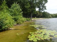MGLP provides over $300,000 in grants to conserve fish habitat in lakes